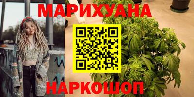Альфа ПВП Бердск