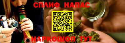 Альфа ПВП Бердск