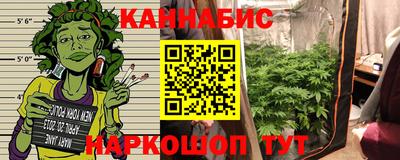 Альфа ПВП Бердск